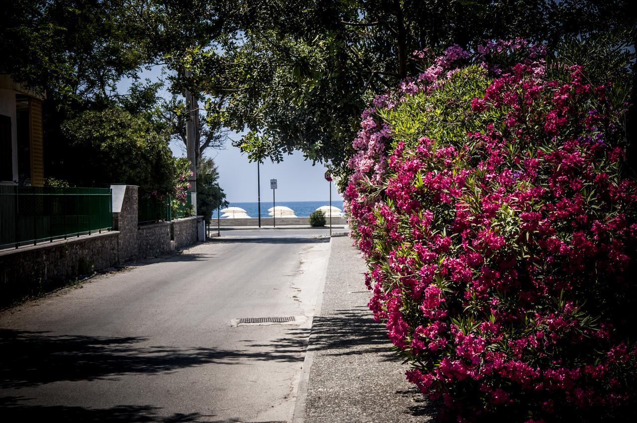 Oliveto A Mare - Suite & Apartment Ascea Exterior photo