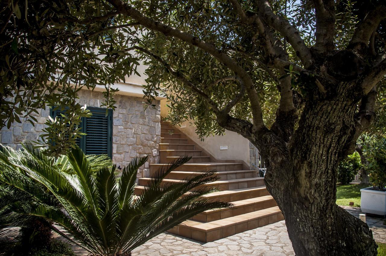 Oliveto A Mare - Suite & Apartment Ascea Exterior photo