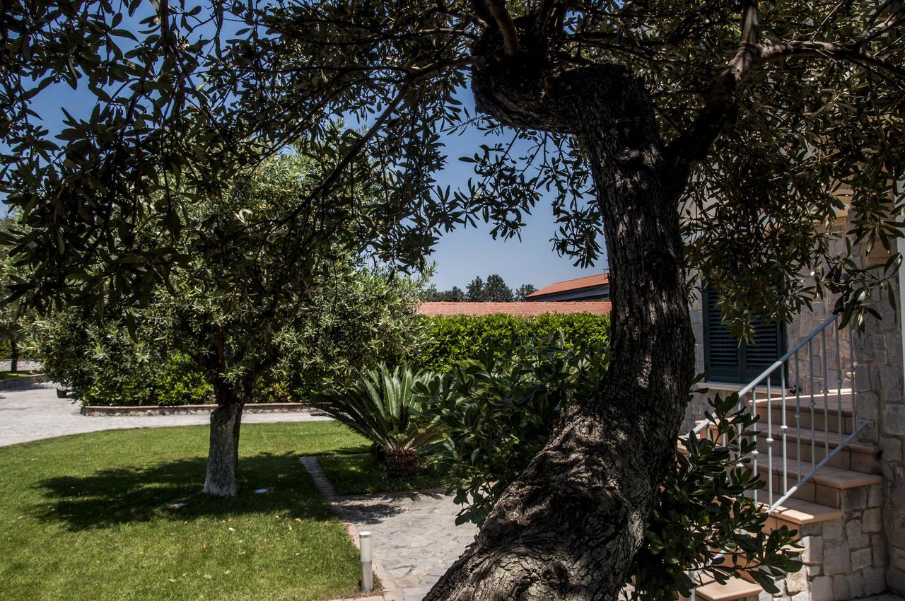 Oliveto A Mare - Suite & Apartment Ascea Exterior photo